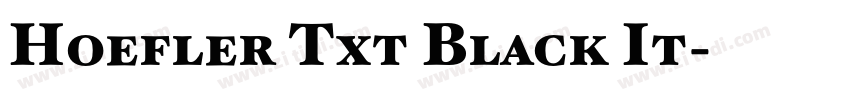 Hoefler Txt Black It字体转换
